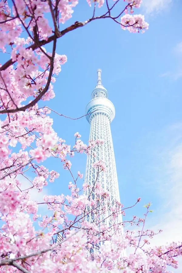 Tokyo Cherry Blooming Hotel Ueno 东京超级中心上野公园3分钟 地铁1分钟 位置绝佳超级繁华 免费wifi Dyson吹风机coa